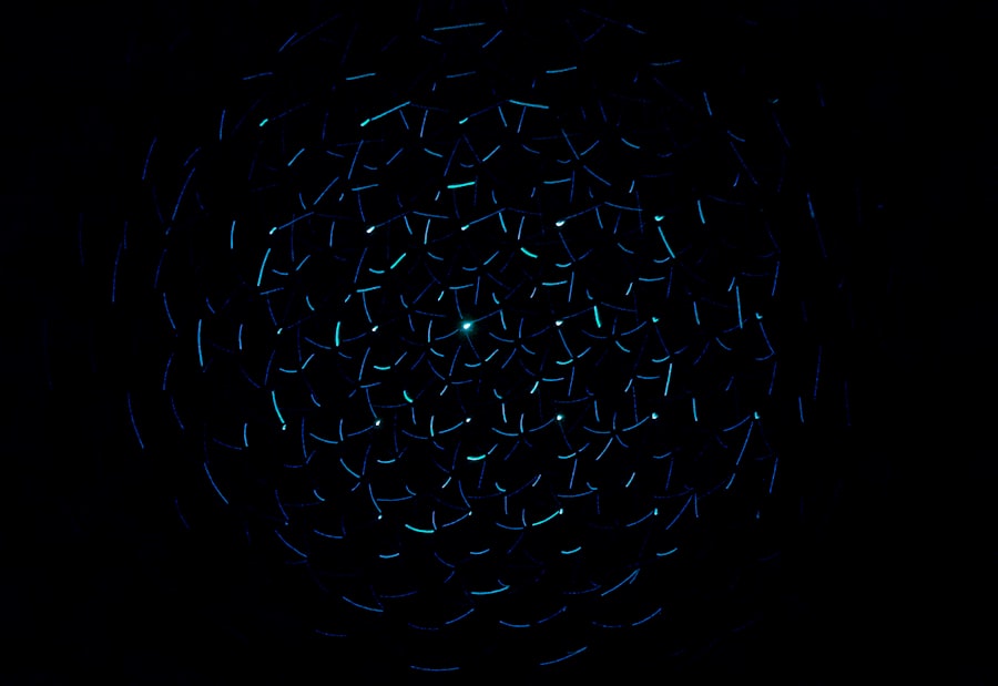 Über VlaDigital Click